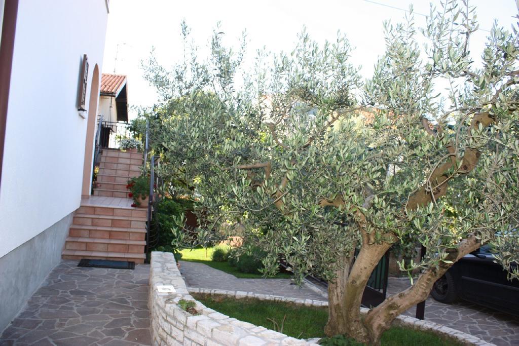Apartments Mirela Novigrad  Zewnętrze zdjęcie