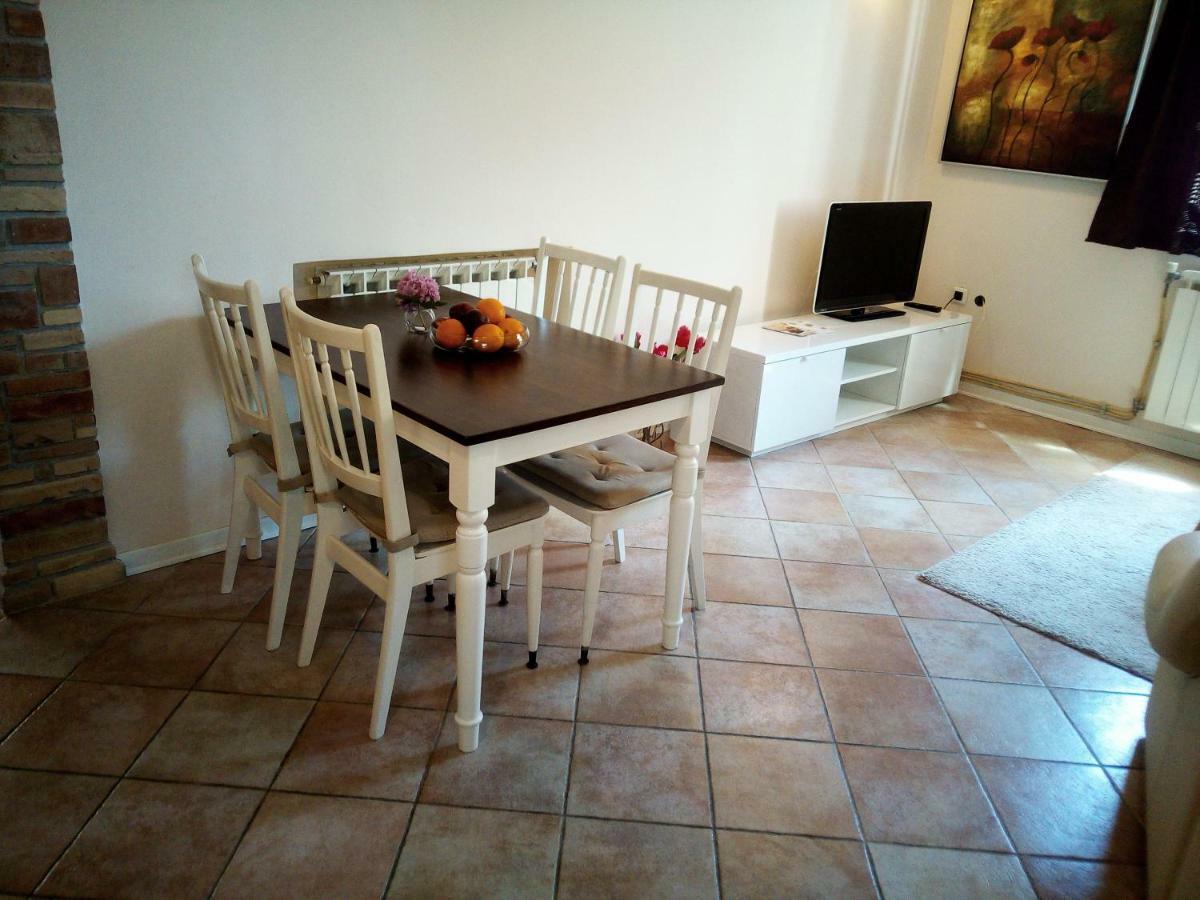 Apartments Mirela Novigrad  Zewnętrze zdjęcie