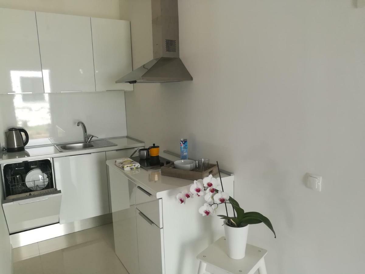 Apartments Mirela Novigrad  Zewnętrze zdjęcie
